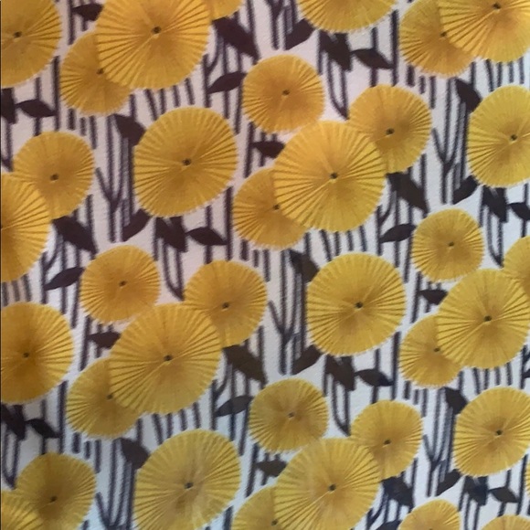 Spring Tank - Picture 2 of 3